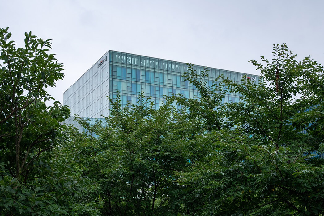 Image-6
